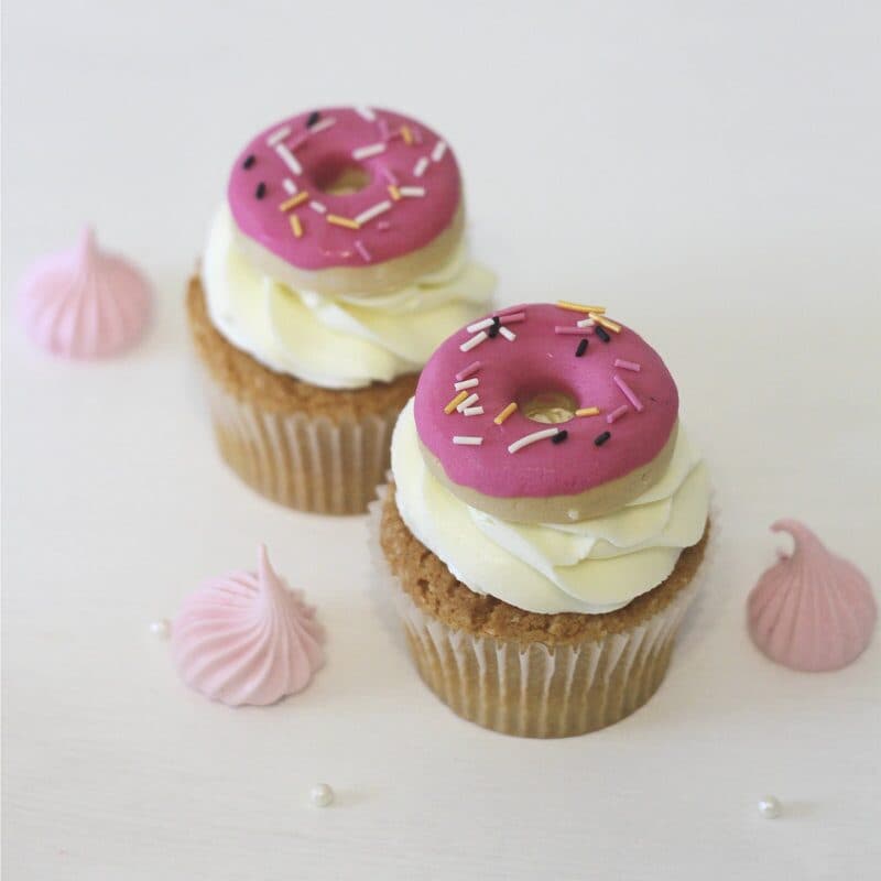 Kids’ Cupcakes in Sacramento • Colorful & Fun Party Favorites-0